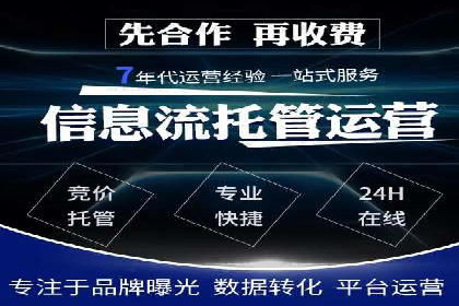 网络推广与竞价广告：双管齐下的策略案例