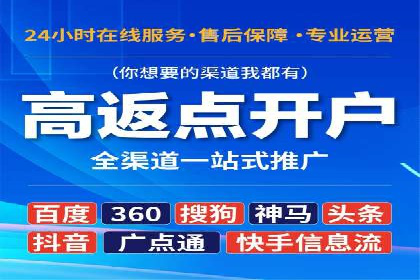 成功案例：网络推广与竞价广告的完美结合